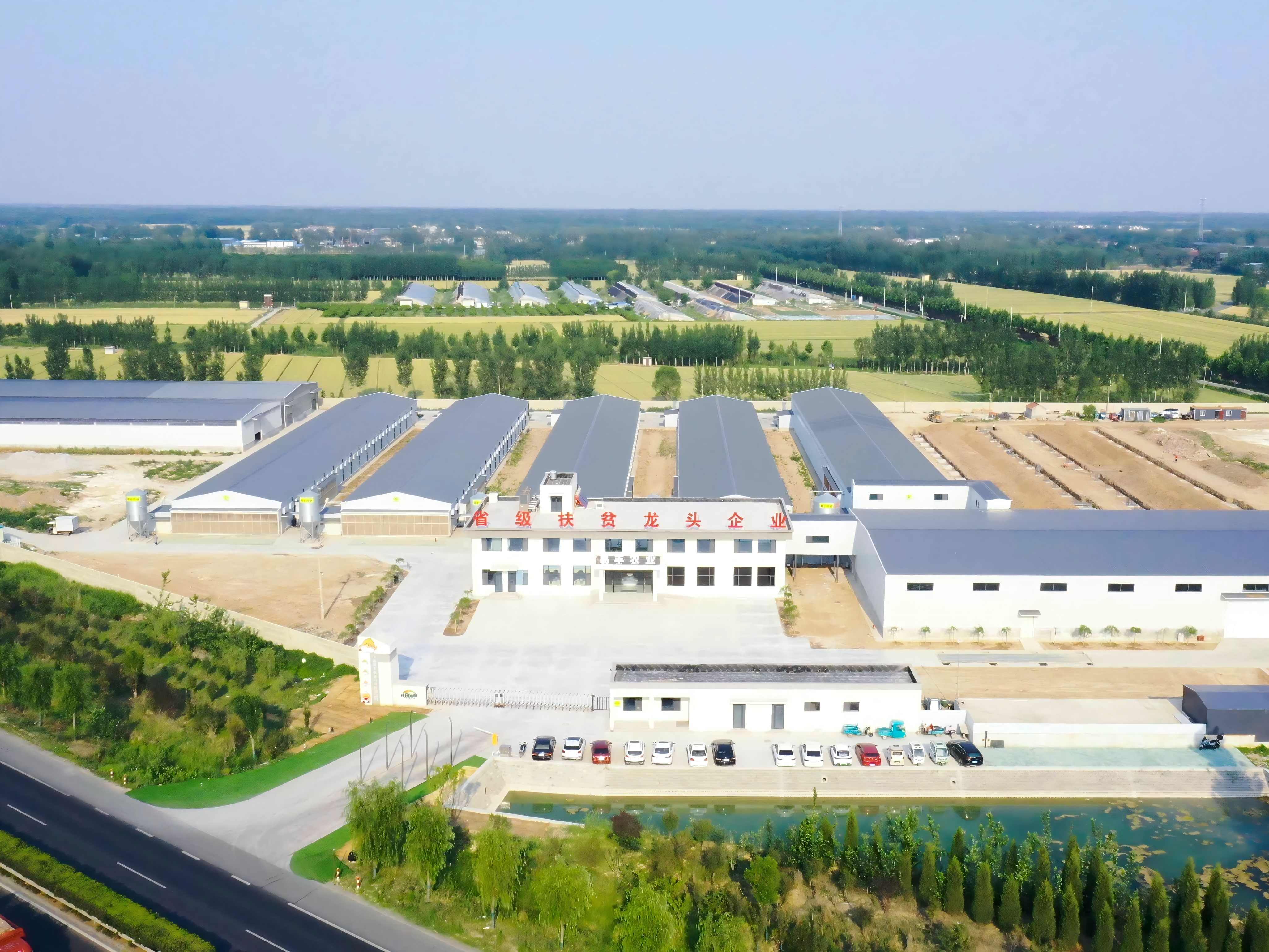 頭號玩家娛樂樂享超鮮蛋農(nóng)場