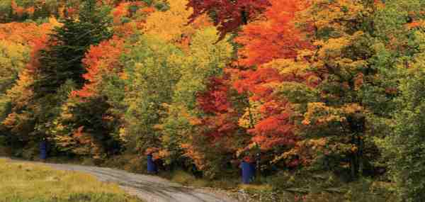 頭號(hào)玩家官網(wǎng)登錄入口,頭號(hào)玩家?jiàn)蕵?lè),商業(yè)管理,酒店管理,物業(yè)管理,房產(chǎn)開(kāi)發(fā),農(nóng)業(yè)科技,路橋工程