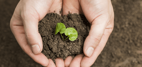 頭號(hào)玩家官網(wǎng)登錄入口,頭號(hào)玩家?jiàn)蕵?lè),商業(yè)管理,酒店管理,物業(yè)管理,房產(chǎn)開(kāi)發(fā),農(nóng)業(yè)科技,路橋工程